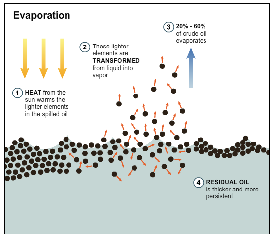Physics of Oil Spills infographic